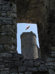 SX29189 Welsh flag on Harlech Castle.jpg